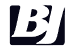 BJ Services